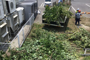 除草作業（草刈り・伐採）