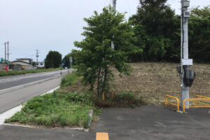 除草作業（草刈り・伐採）